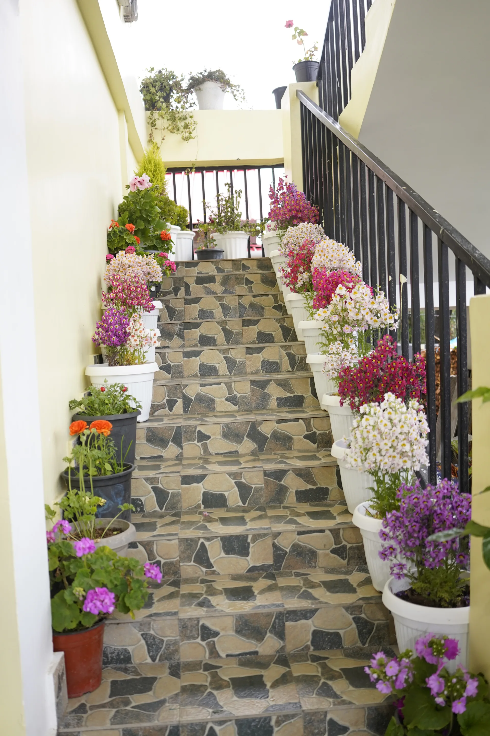 Balcony with hanging flower baskets at Acorn Homestay Shergaon