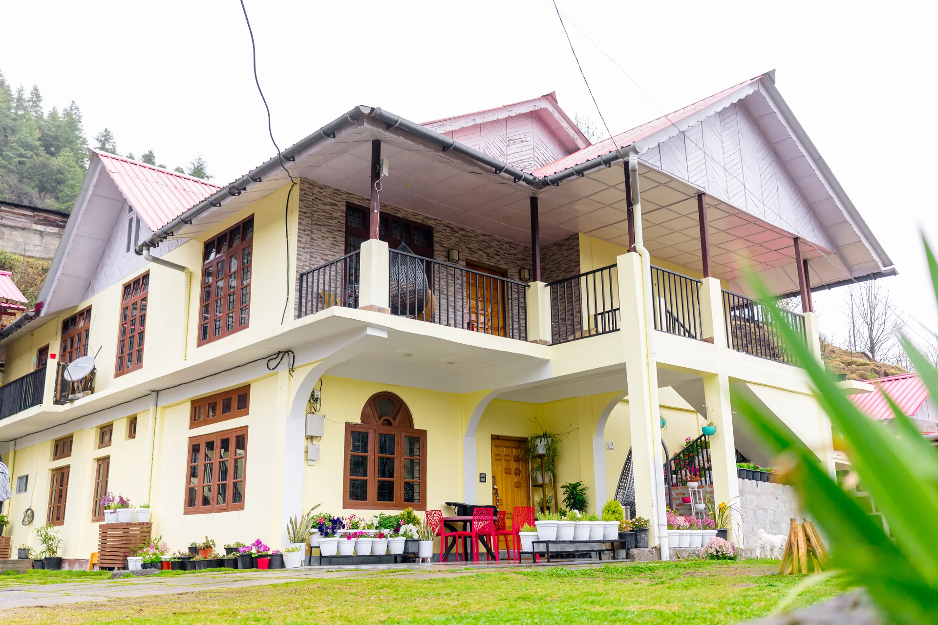 Acorn Homestay exterior garden ground level view